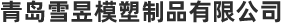 ie9