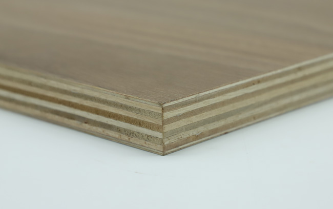 ���Ӱ�����c��ʲô��