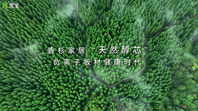 ��ʲôҪ�I��ľ��������¹���