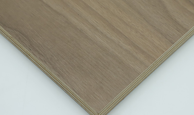 ���B(t��i)����ʲô�����B(t��i)����ʲô��(y��u)�ݣ�