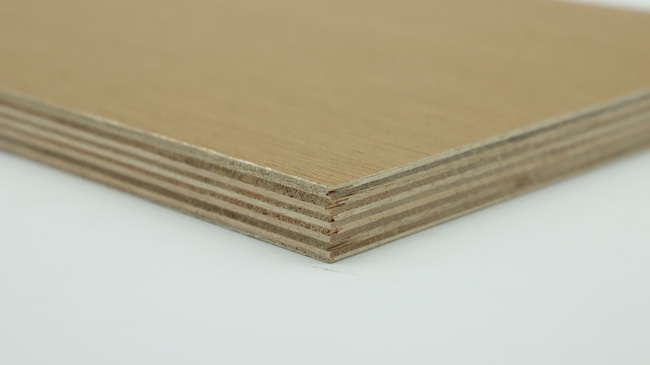 �b�޹�����ʲô�����